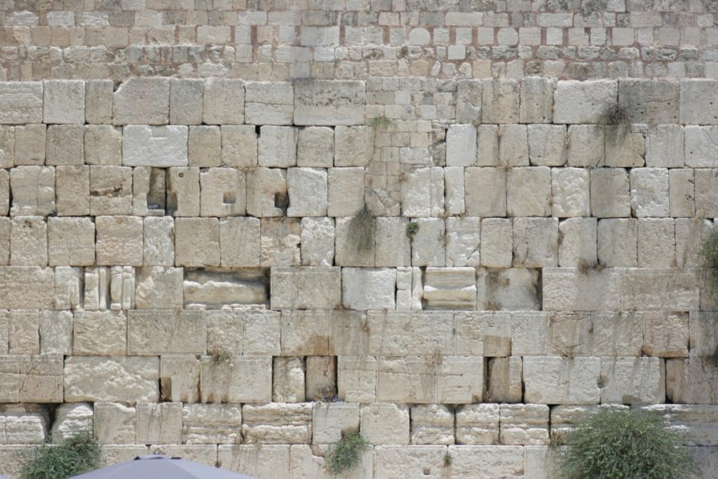 Birthright Israel Trip to Western Wall